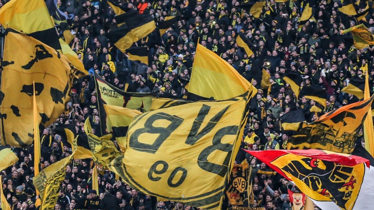 mit fahnen fans bvb mannschaft