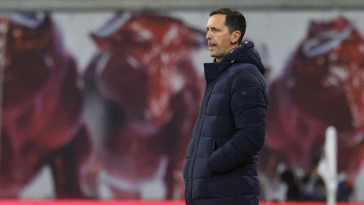 Punë e re për Toppmöller?